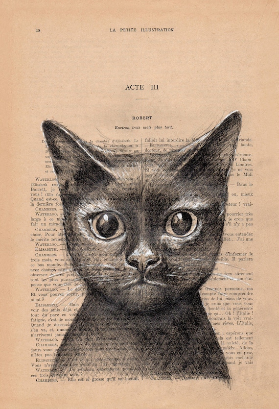 Vintage French Book Page Print: Black Cat Drawing - Original Wall Art Decor 28x19cm.