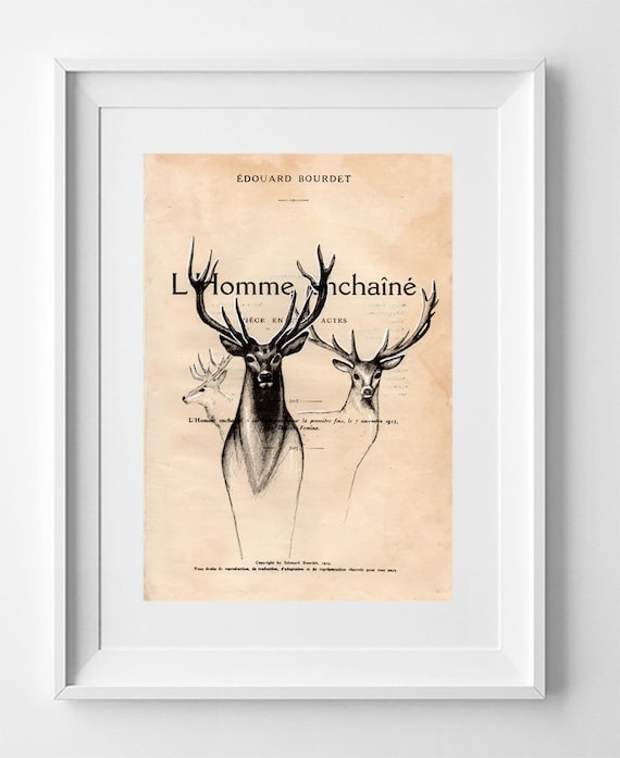 DEER. Vintage French Deer Illustration: 1920s La Petite Illustration Upcycled Print Art - 28x19cm.
