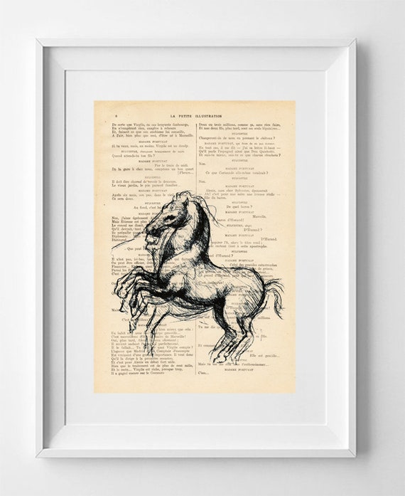 Vintage French Horse Drawing Print on 1920s Magazine Page - Realistic Art Decor 28x19cm