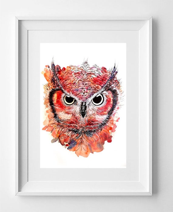 OWL. Drawing printed on high quality paper. Wild animals collection drawing.