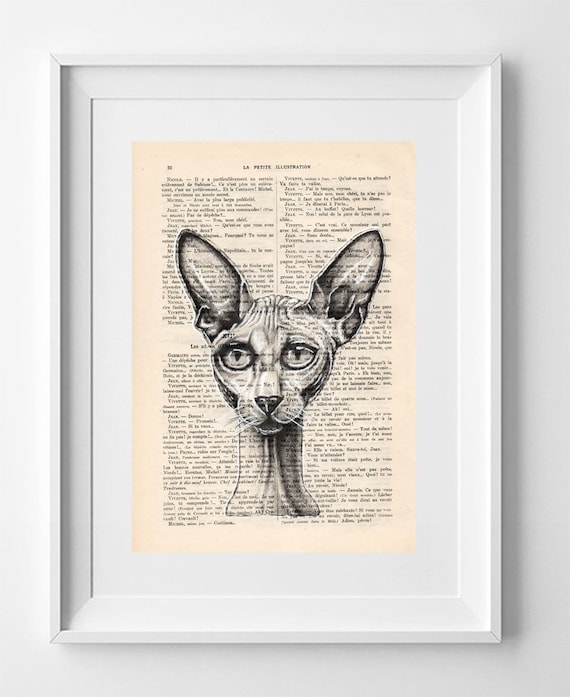 Vintage French Book Page Print: Sphynx Cat Spock Drawing - Unique Wall Art Decor 28x19cm