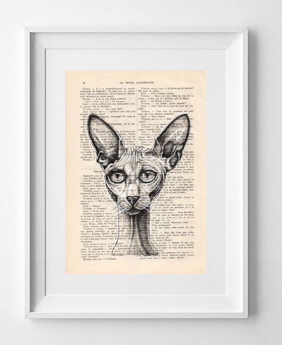 SPOCK sphynx cat, Print on French vintage book page, Artwork Printed on Book, Original Cat Drawing, Wall Decor.