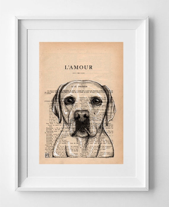 WOODY Labrador Retriever Dog, Print on French Vintage Book Page, Artwork Printed on Book, Original Dog Drawing, Deco