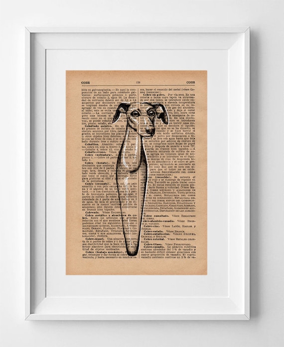 Italian hound dog MARLON. Printed drawing on the original page of the French publication La Petite Illustration of the year 1920.