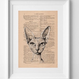 Vintage French Pink Panther Sphynx Cat Illustration Wall Art Print - Book Page Decor 28x19cm