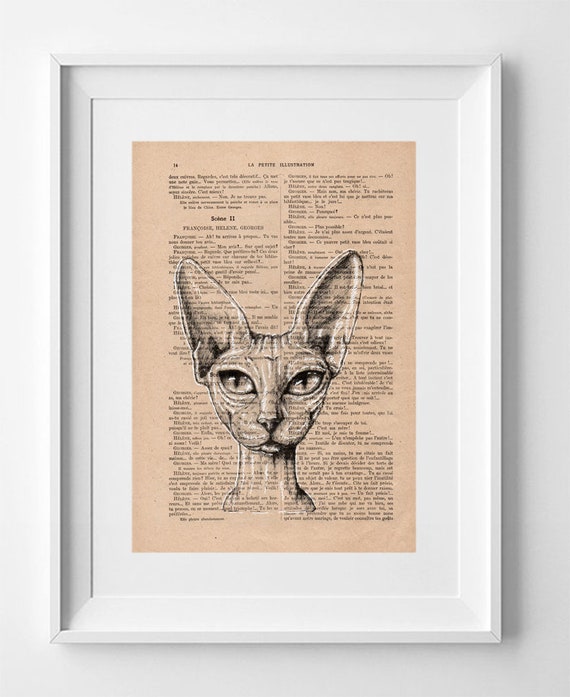 PINK PANTHER Sphynx cat, Print on French vintage book page, Artwork Printed on book, Original cat drawing, Wall decoration