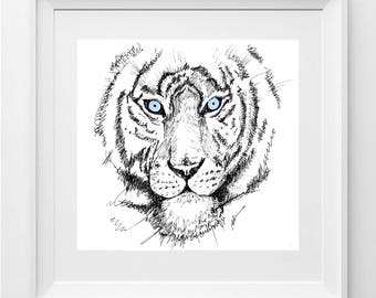 WHITE TIGER. Drawing printed on high quality paper.