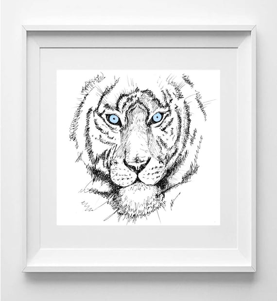 WHITE TIGER. Drawing printed on high quality paper.