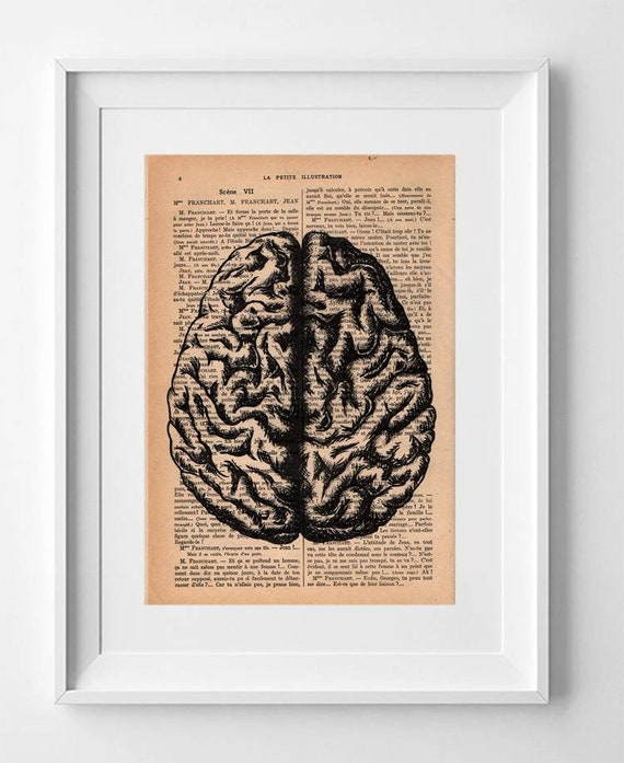 BRAIN, 28x19cm. Print on French vintage book page, Artwork, Print on book, Original anatomical heart, Wall decoration