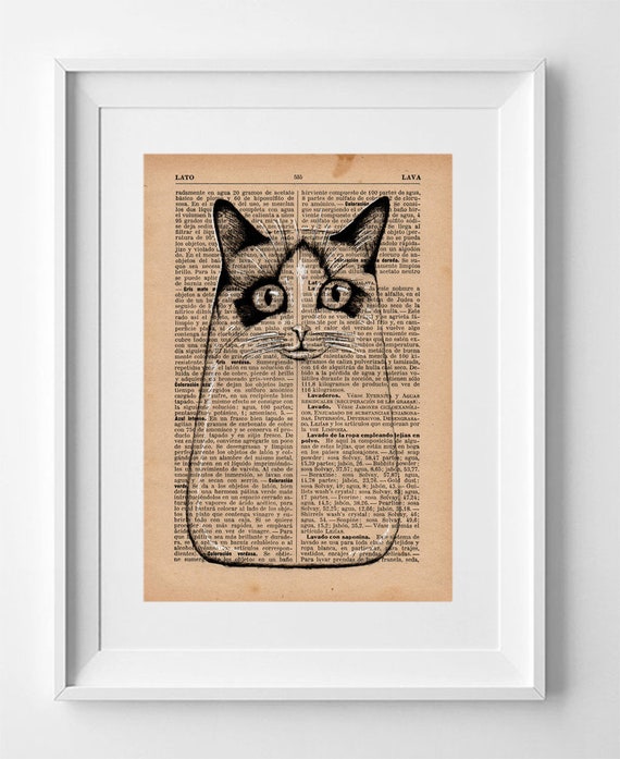 Cat nº 8. Printed drawing on original page of the "Modern Industrial Encyclopedia" from the 1930s