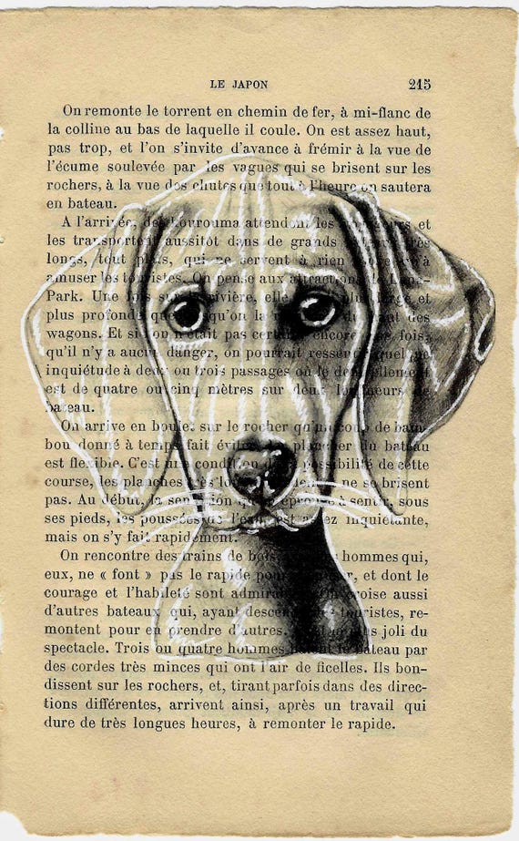 Dog Rudy, Unique Weimaraner Dog Sketch on Vintage Book Page - Mini Art Print of Rudy - Original Drawing - 12x18cm. vintage dog print decor.