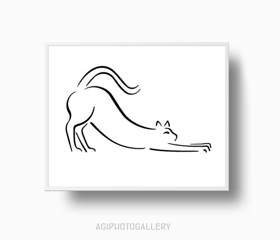 https://i.etsystatic.com/12133154/r/il/caaf0d/1563780336/il_570xN.1563780336_eraq.jpg