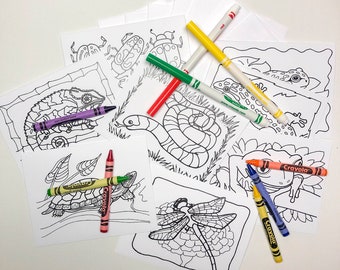 Coloring Cards/Books