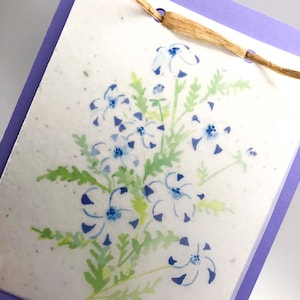 Carte de voeux personnalisée ; Germes de papier ; Violet cinq points ; Aquarelle ; anniversaire/fête des mères/rétablissement/remerciement/amour ; cadeau ; Carte de graines à planter