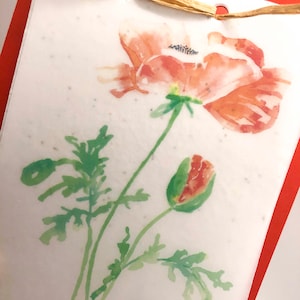 Carte de voeux personnalisée ; Germes de papier ; coquelicots rouges ; Aquarelle ; anniversaire/fête des mères/rétablissement/remerciement/amour ; cadeau ; Carte de graines à planter