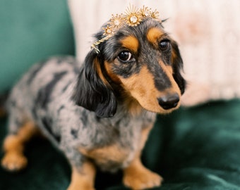 STELLA gold art deco celestial glamorous crystal wedding tiara for dogs - small, medium or large