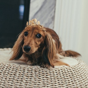 ATHENA gold leaves glamorous crystal wedding tiara for dogs - small, medium or large