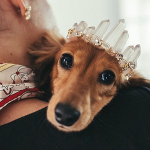 RUE rose quartz glamorous crystal wedding tiara for dogs small, medium or large image 1