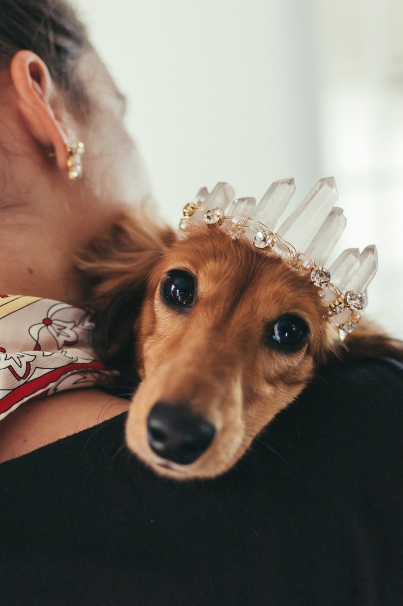 RUE rose quartz glamorous crystal wedding tiara for dogs small, medium or large image 1