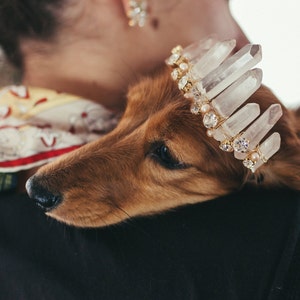 RUE rose quartz glamorous crystal wedding tiara for dogs small, medium or large image 3