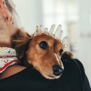 RUE rose quartz glamorous crystal wedding tiara for dogs small, medium or large image 2