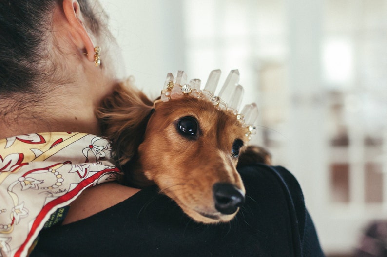 RUE rose quartz glamorous crystal wedding tiara for dogs small, medium or large image 2