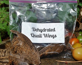 Dried Quail Wings(4) for Crafts & Cats