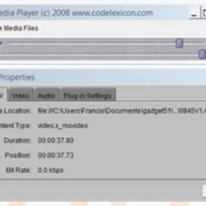 以下が含まれることがあります： グレーのインターフェースを持つメディアプレーヤーアプリケーションのスクリーンショット。メディアプレーヤーは、ファイルの場所、コンテンツタイプ、期間、位置、ビットレートを含む、ビデオファイルに関する情報を表示しています。