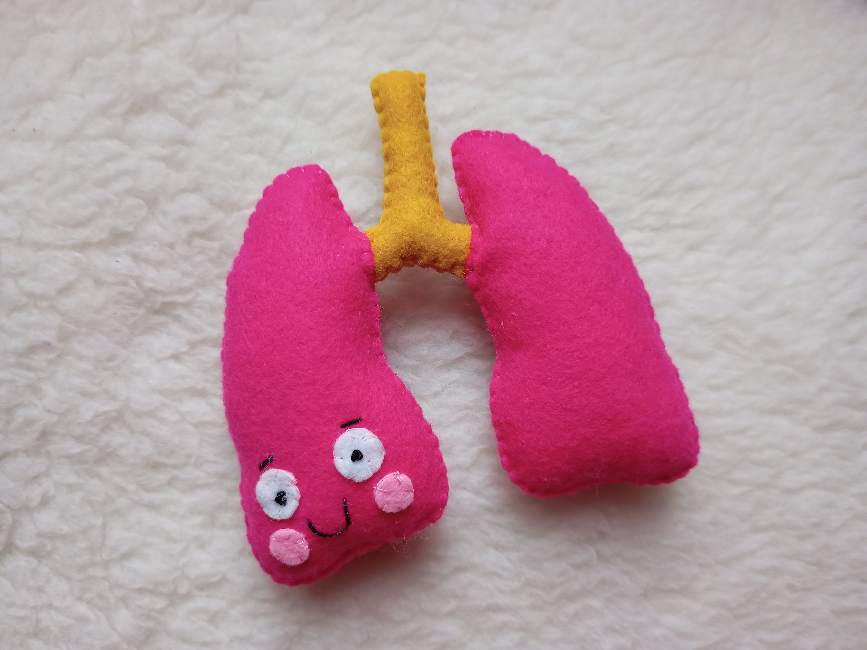 Human Organs Felt Internal Organs Plush Organs for Children Etsy UK