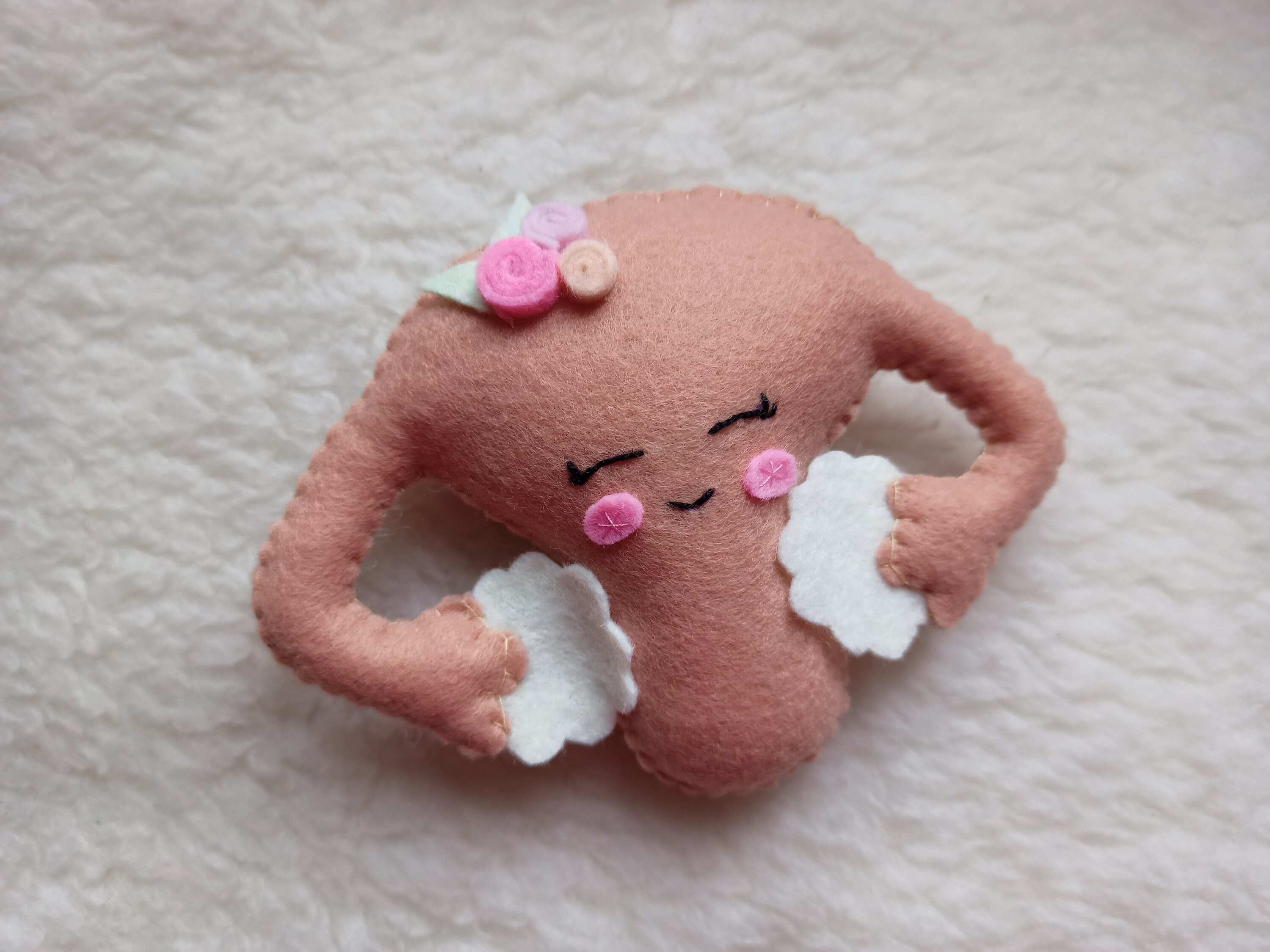 Human Organs Felt Internal Organs Plush Organs for Children Etsy UK