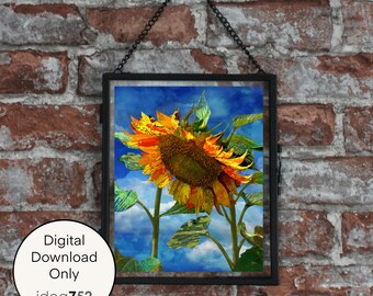 Printable 8”x10” Art - Digital Download - “Sunflower Swathe”
