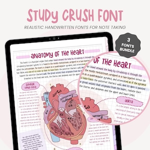Police Study Crush | Police manuscrite soignée | Police réaliste pour la prise de notes par les étudiants | Police pour les notes numériques et la planification numérique par MADEtoPLAN
