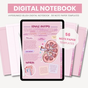 May include: A digital notebook with 56 note paper templates. The notebook is pink and has a grid pattern. The cover page shows a diagram of the kidneys and their anatomy. The text on the cover page reads "Kidneys Anatomy".