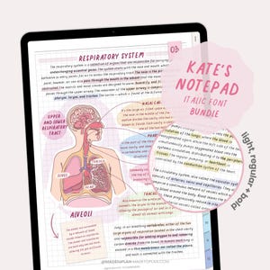 Bloc-notes de Kate en italique | Police manuscrite soignée | Jolie police d'écriture manuscrite pour les notes des étudiants | Police pour notes numériques par MADEtoPLAN