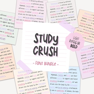 Police Study Crush | Lot de polices manuscrites soignées par MADEtoPLAN | Écriture mignonne | Police réaliste pour les notes numériques et la planification numérique
