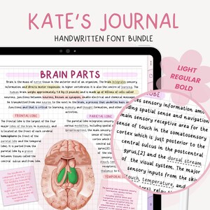 Police du journal de Kate | Police manuscrite soignée | Écriture mignonne | Police réaliste pour agenda numérique | Police pour notes numériques par MADEtoPLAN