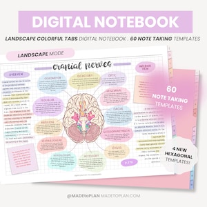 May include: A digital notebook template with colorful tabs for note-taking. The template features a diagram of the cranial nerves with labels and descriptions. The notebook includes 60 note-taking templates, including 4 new hexagonal templates.