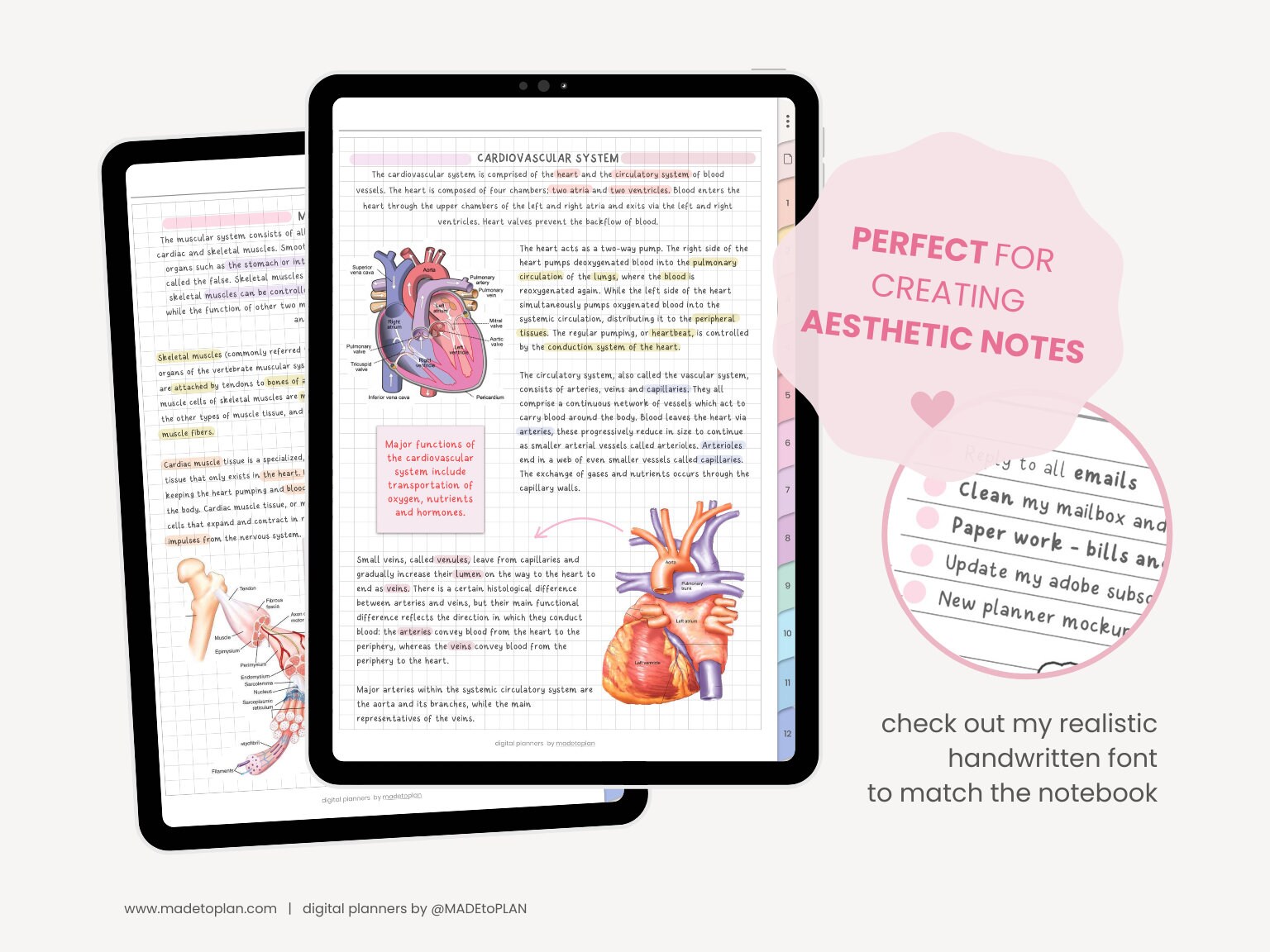 Digital Notebook | 12 Subject Digital Notebook for Students | Digital ...
