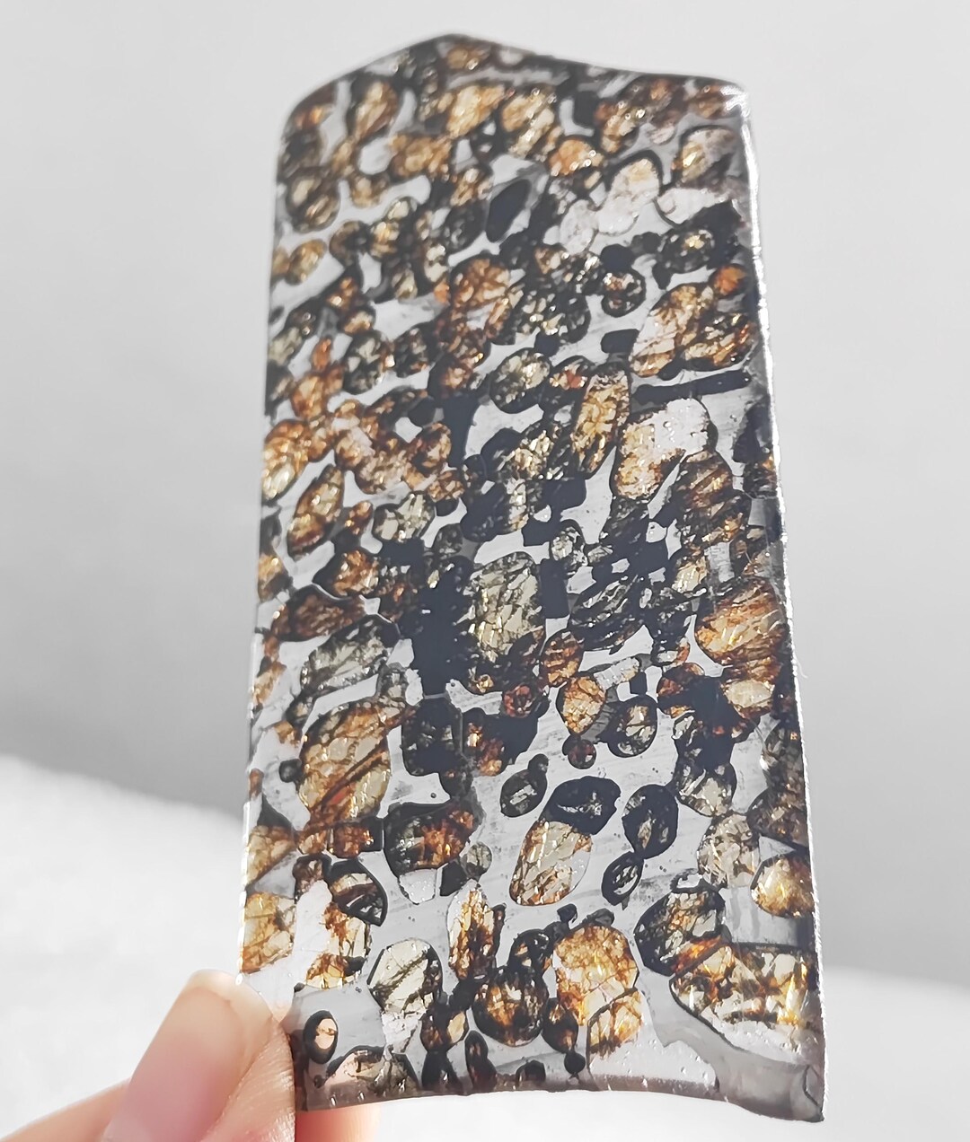 【超レア・BIG サイズ】セイムチャン パラサイト隕石 スライス 215.7g 超レア・BIG サイズ】セイムチャン パラサイト隕石 スライス 215.7g