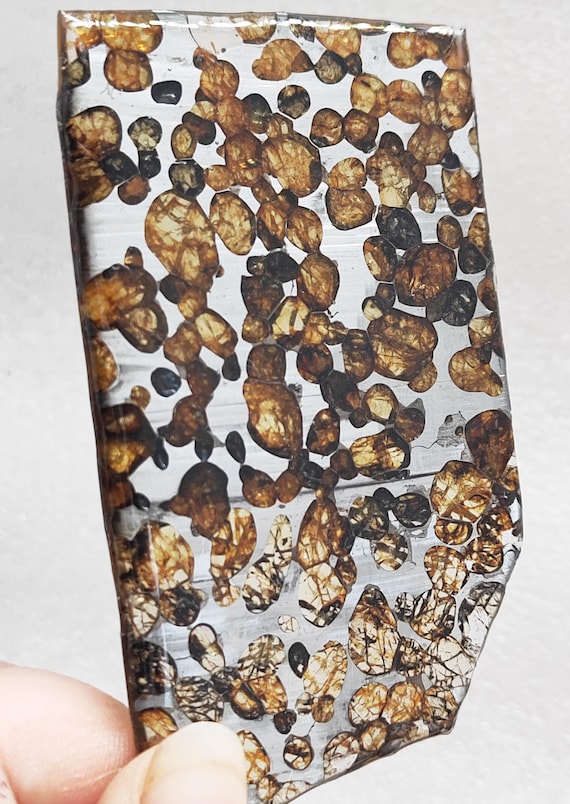 セイムチャン隕石 スライス2個セット 36.8g セイムチャン パラサイト