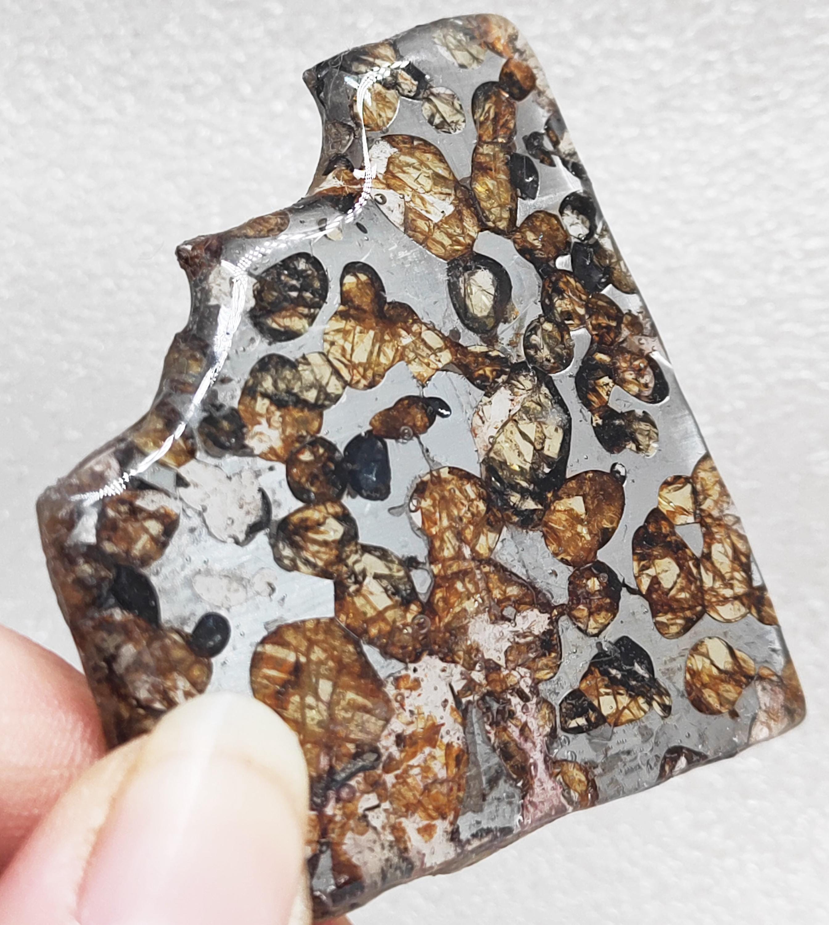 超レア・BIG サイズ】セイムチャン パラサイト隕石 スライス 215.7g 超