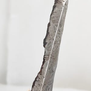 44.2g Muonionalusta Meteorite Slice, Meteorite Specimen,Natural Meteorite Material Specimen, Collection 446B120