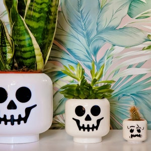 May include: Three white ceramic planters shaped like skulls, each with a different plant inside. The largest planter has a green snake plant, the middle planter has a green succulent, and the smallest planter has a small cactus. The planters are on a white surface with a tropical leaf patterned background.