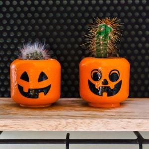 Pumpkin &quot;Pot Heads&quot; Plant Pot