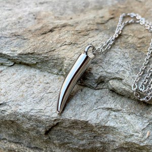 May include: A silver necklace with a polished, smooth, silver pendant shaped like a tooth.