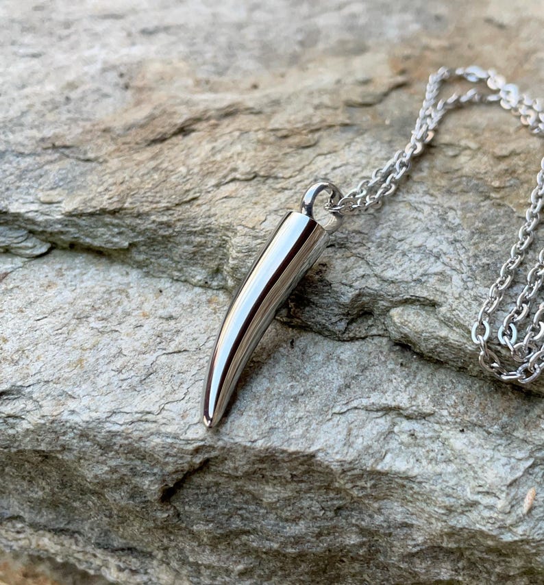 May include: A silver necklace with a polished, smooth, silver pendant shaped like a tooth.