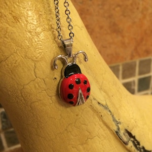 Ladybug Cremation Jewelry | Stainless Steel With Red & Black Enamel Cremation Pendant | Necklace For Ashes | Urn Necklace | Urn Jewelry 8285