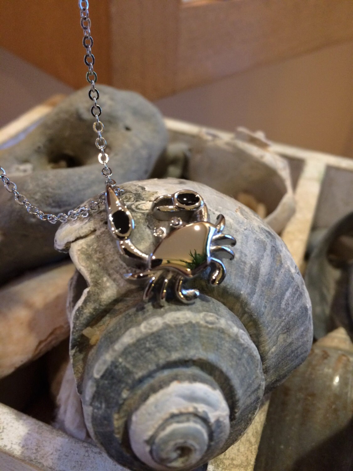 DIYjewelry Inc Memorial Cremation Urn Necklace - Stainless Steel Crab Pendant For Ashes Keepsake, With Chain & Filling Kit
