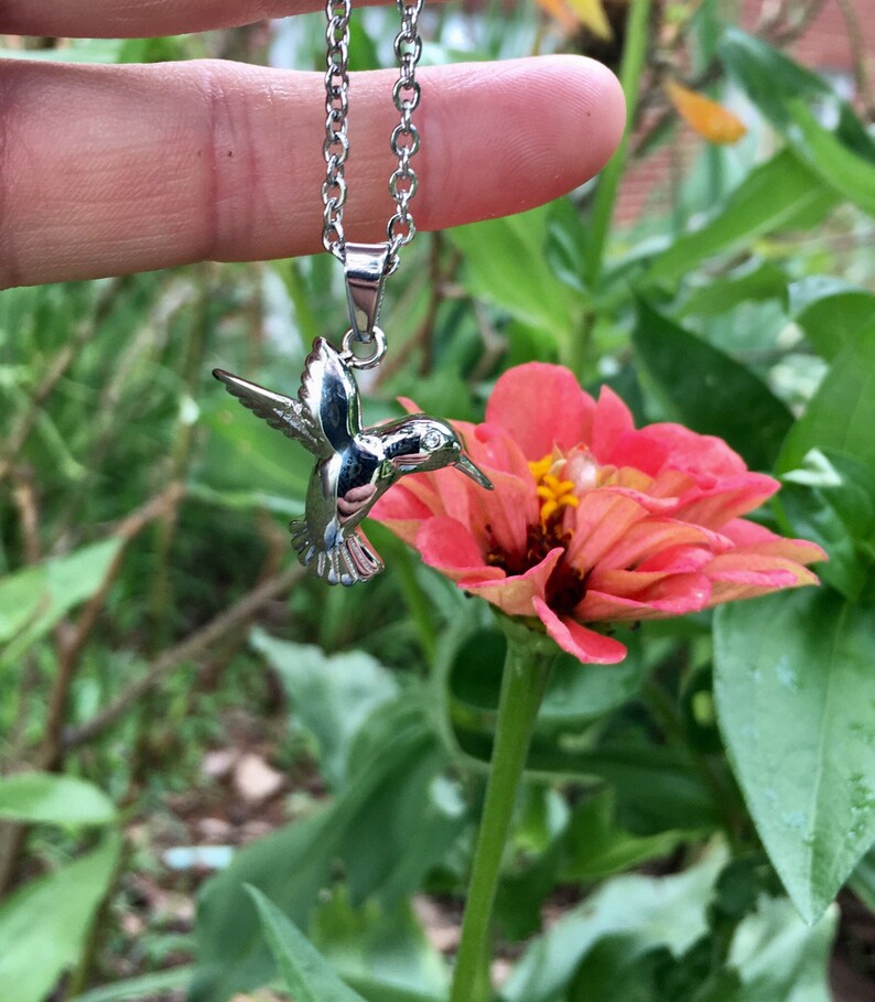 Hummingbird Solid Silver Stainless Steel Cremation Pendant Etsy