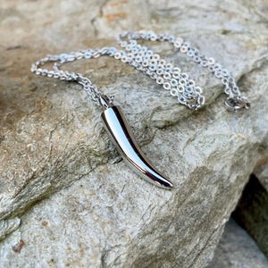 May include: A silver chain necklace with a silver horn pendant. The horn is smooth and shiny.